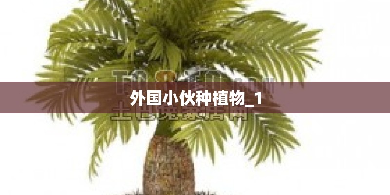 外国小伙种植物_1