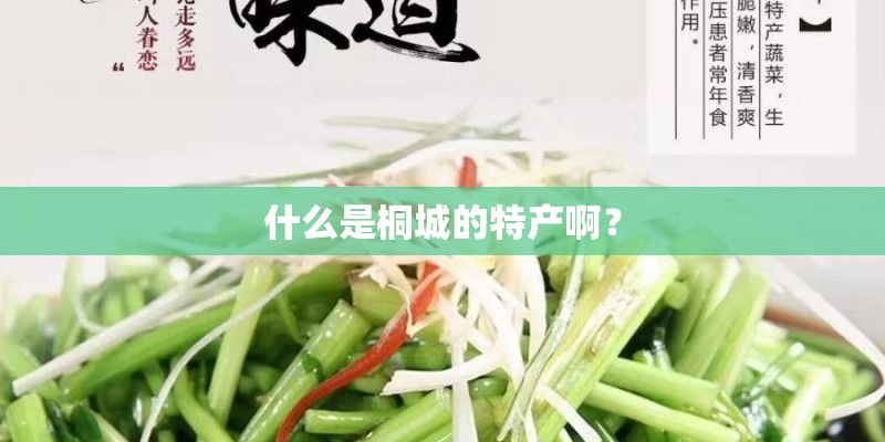 什么是桐城的特产啊？