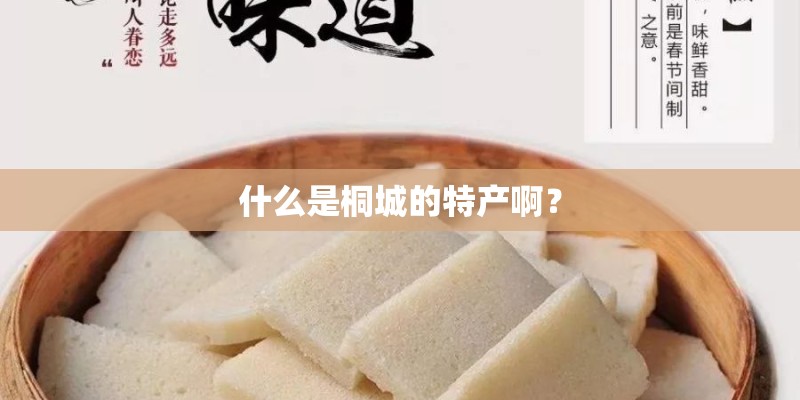 什么是桐城的特产啊？