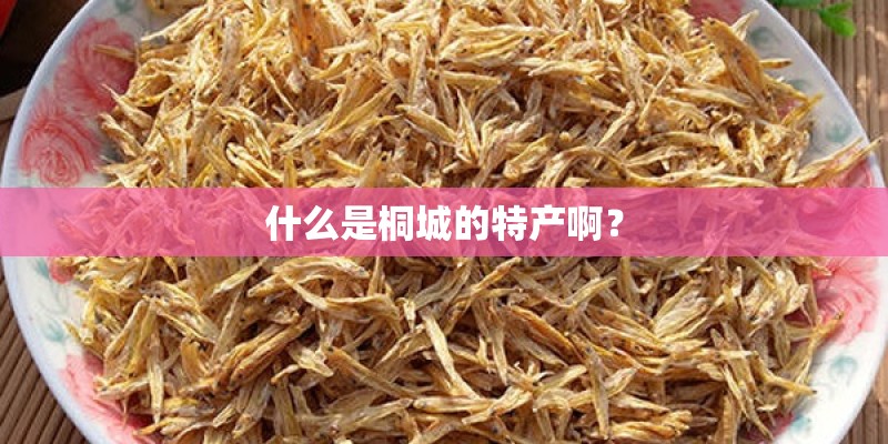 什么是桐城的特产啊？