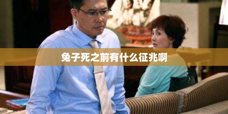 兔子死之前有什么征兆啊