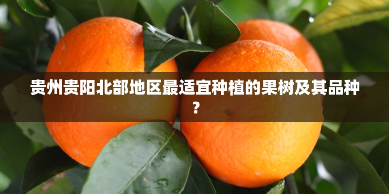 贵州贵阳北部地区最适宜种植的果树及其品种? 贵州贵阳北部地区最适宜种植的果树及其品种?