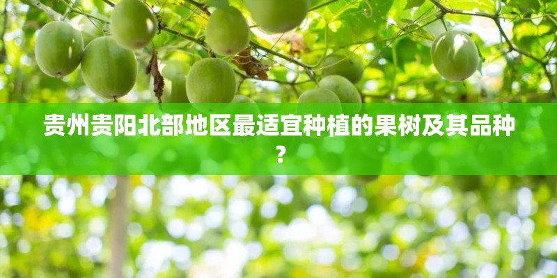 贵州贵阳北部地区最适宜种植的果树及其品种? 贵州贵阳北部地区最适宜种植的果树及其品种?
