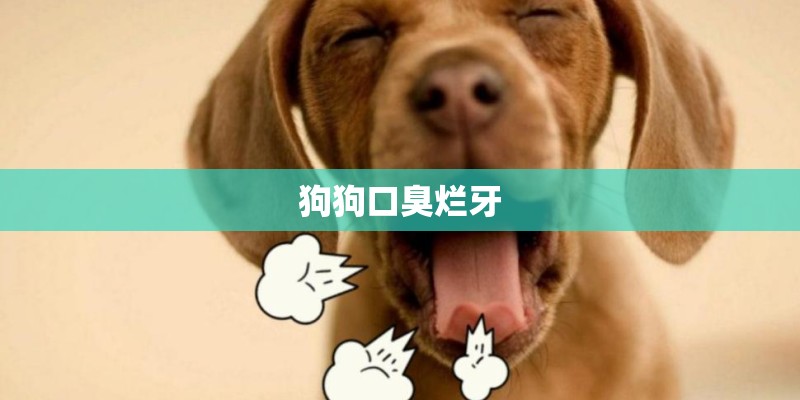 狗狗口臭烂牙