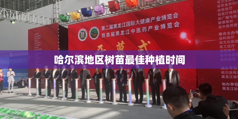 哈尔滨地区树苗最佳种植时间