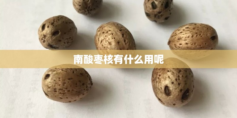 南酸枣核有什么用呢