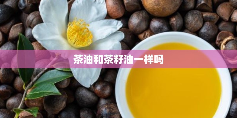 茶油和茶籽油一样吗