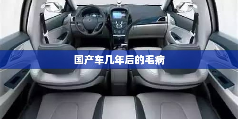 国产车几年后的毛病 国产车几年后的毛病