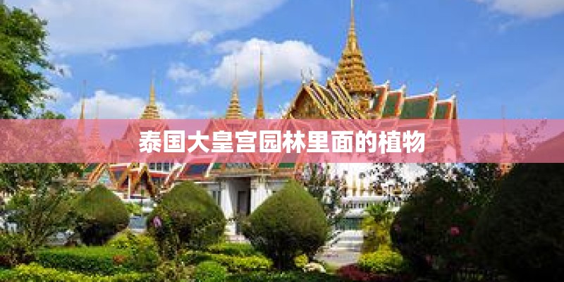 泰国大皇宫园林里面的植物