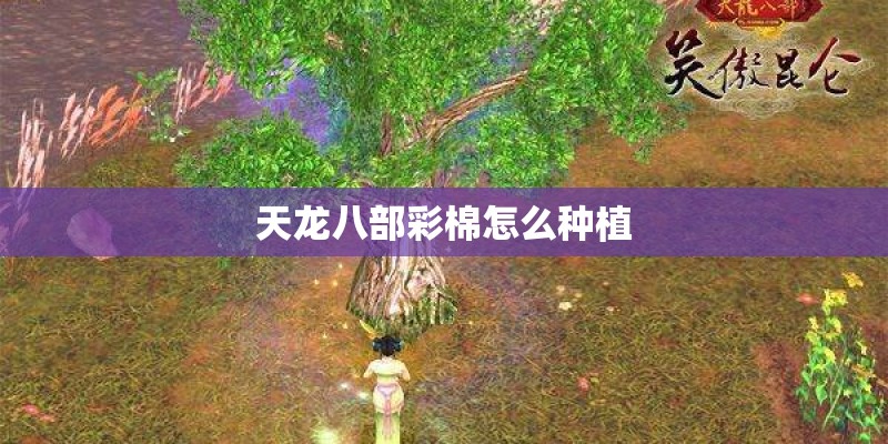天龙八部彩棉怎么种植