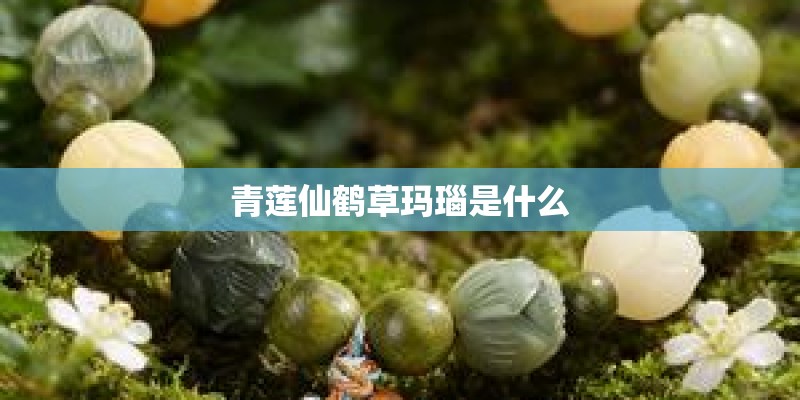 青莲仙鹤草玛瑙是什么 青莲仙鹤草玛瑙是什么