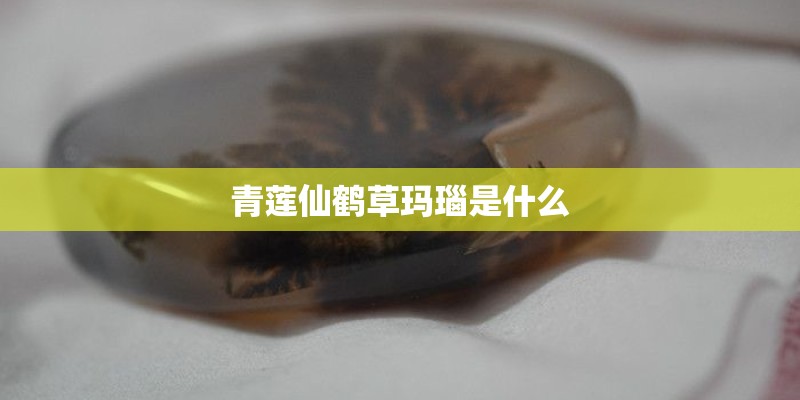青莲仙鹤草玛瑙是什么 青莲仙鹤草玛瑙是什么