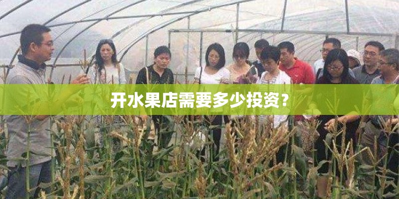 开水果店需要多少投资？