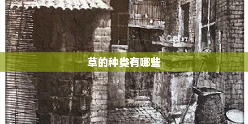 草的种类有哪些