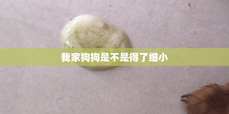 我家狗狗是不是得了细小