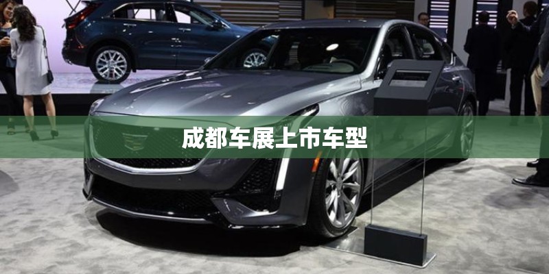 成都车展上市车型