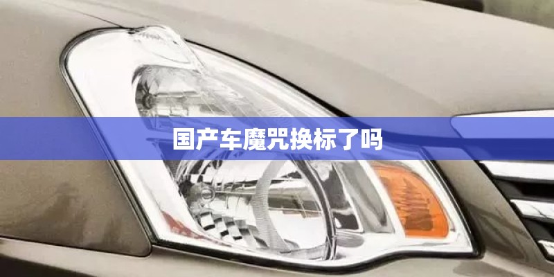 国产车魔咒换标了吗