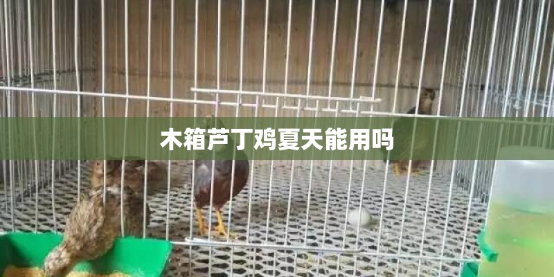 木箱芦丁鸡夏天能用吗