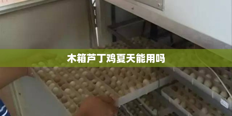 木箱芦丁鸡夏天能用吗