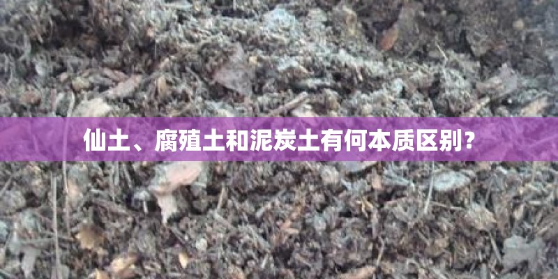 仙土、腐殖土和泥炭土有何本质区别？