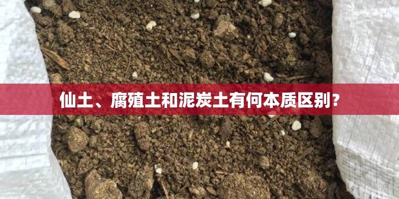 仙土、腐殖土和泥炭土有何本质区别？