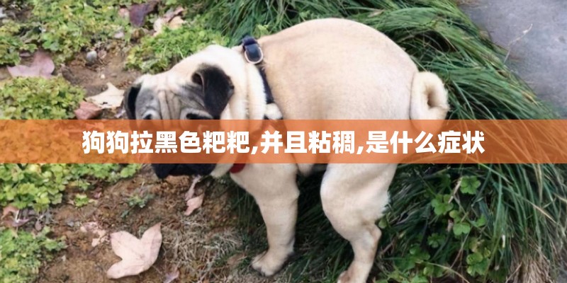 电线的品牌的十大排名