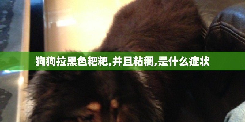 狗狗拉黑色粑粑,并且粘稠,是什么症状