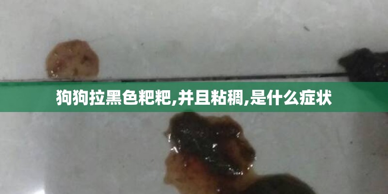 狗狗拉黑色粑粑,并且粘稠,是什么症状
