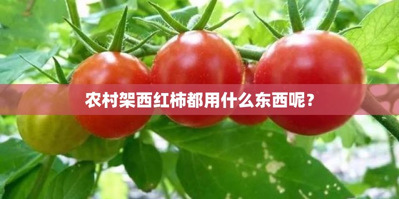 农村架西红柿都用什么东西呢？