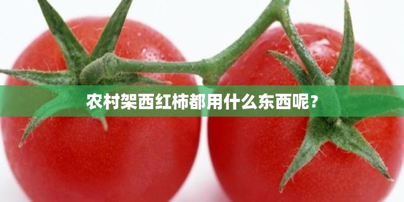 农村架西红柿都用什么东西呢？