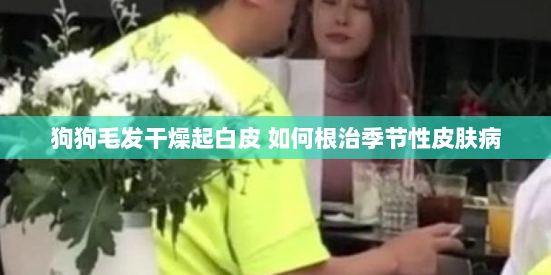 狗狗毛发干燥起白皮 如何根治季节性皮肤病