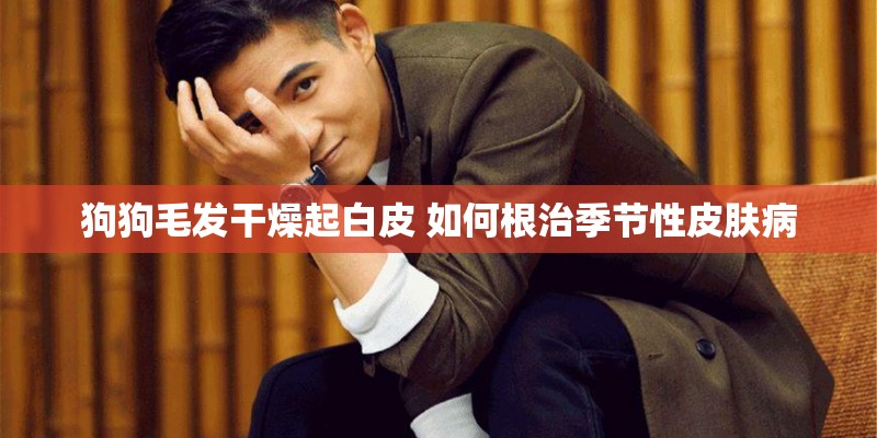 狗狗毛发干燥起白皮 如何根治季节性皮肤病