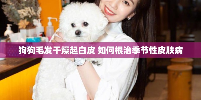 狗狗毛发干燥起白皮 如何根治季节性皮肤病