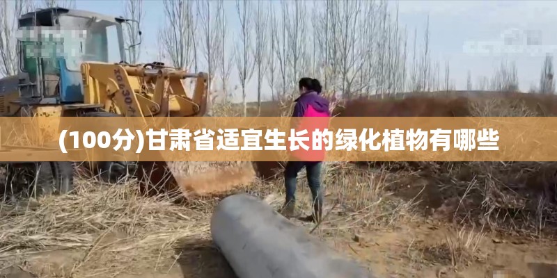 (100分)甘肃省适宜生长的绿化植物有哪些