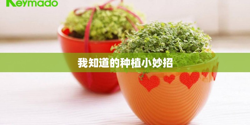 我知道的种植小妙招