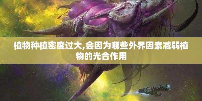 植物种植密度过大,会因为哪些外界因素减弱植物的光合作用