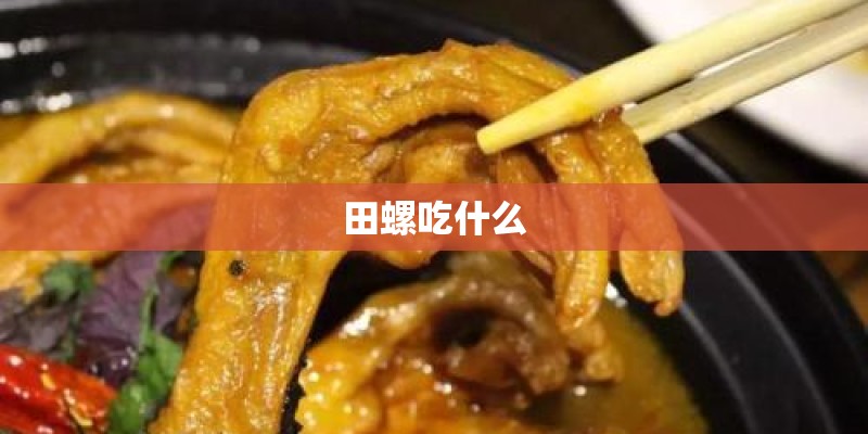 田螺吃什么