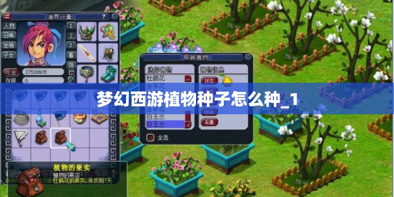 梦幻西游植物种子怎么种_1