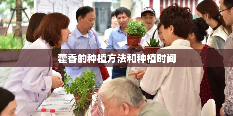 藿香的种植方法和种植时间