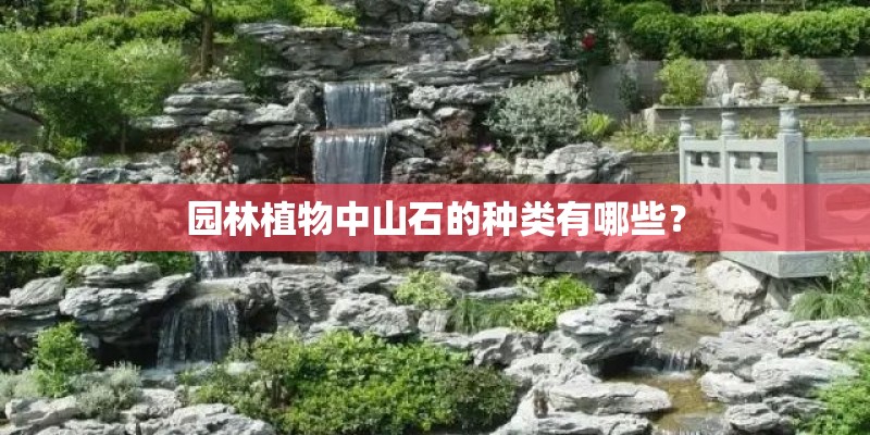 园林植物中山石的种类有哪些？