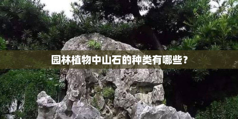 园林植物中山石的种类有哪些？
