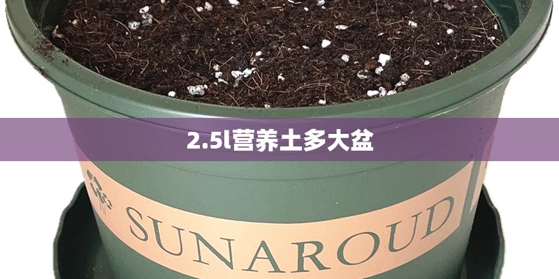 2.5l营养土多大盆