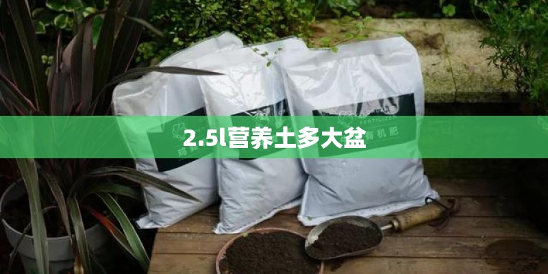 2.5l营养土多大盆