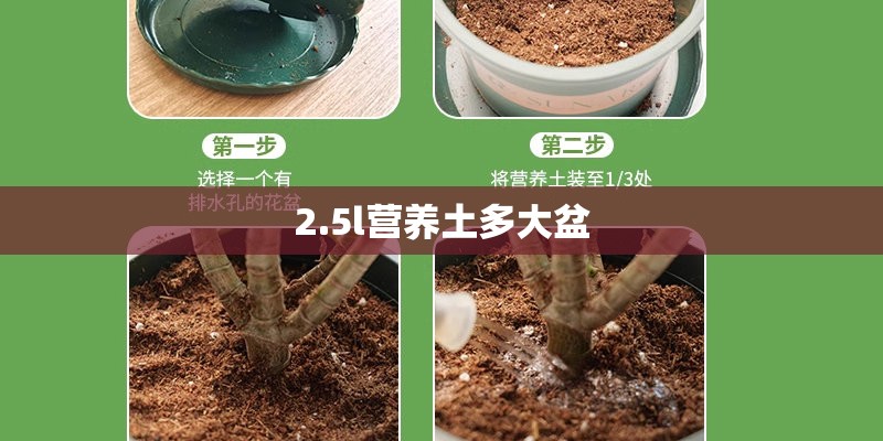 2.5l营养土多大盆