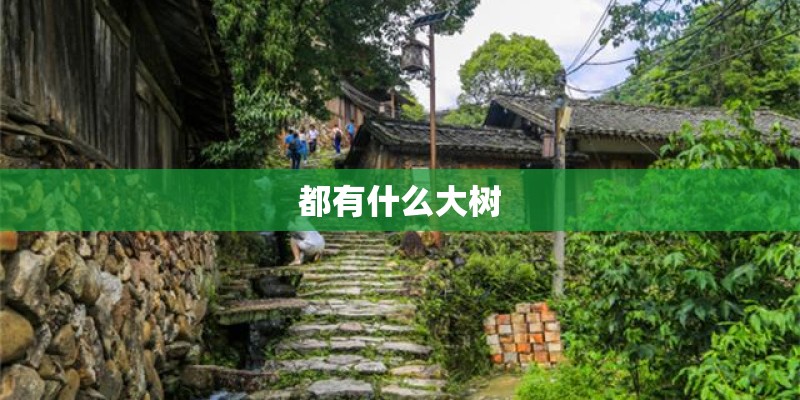 都有什么大树