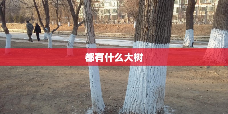 都有什么大树