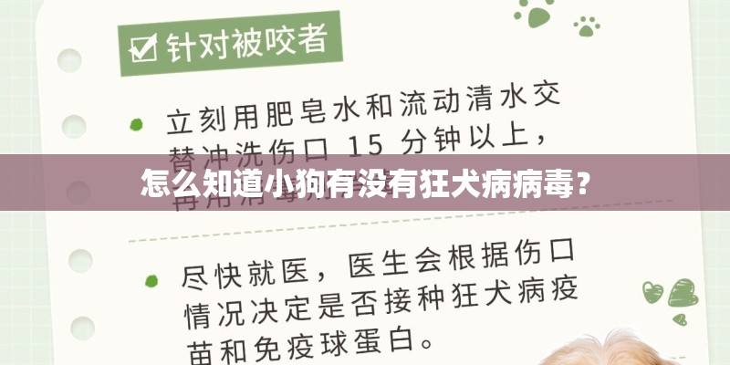 怎么知道小狗有没有狂犬病病毒？