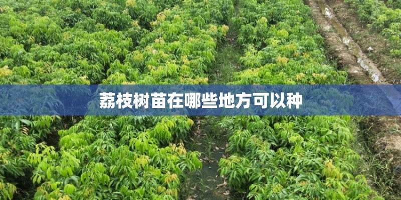 泰迪狗狗吃了打虫药以后几天都不吃饭了怎么回事-