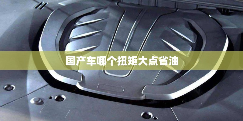 国产车哪个扭矩大点省油