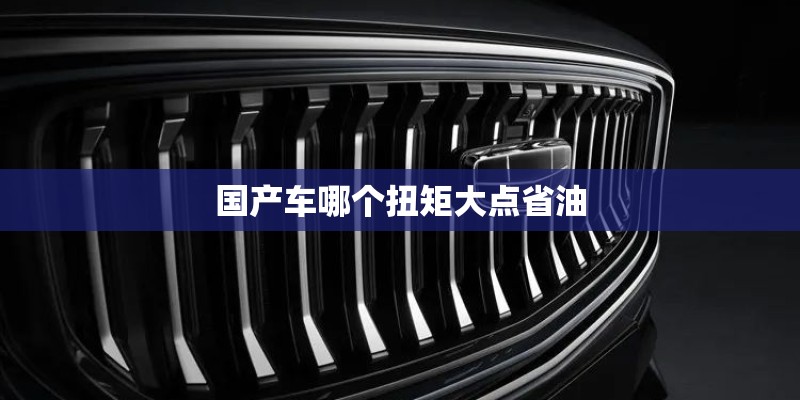 国产车哪个扭矩大点省油